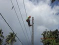 /album/telecomunica%c3%a7%c3%b5es/carlos-1-069-jpg/